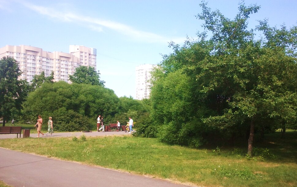 В парке летом