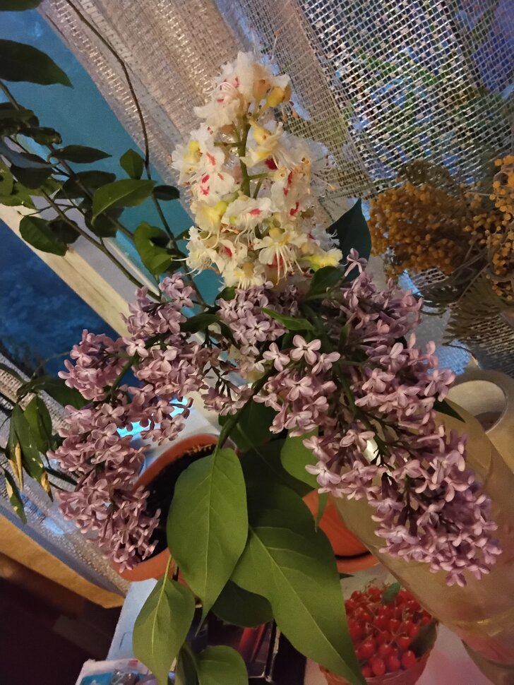 Сирень и каштан