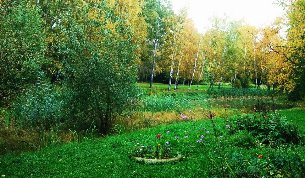 В осеннем лесочке