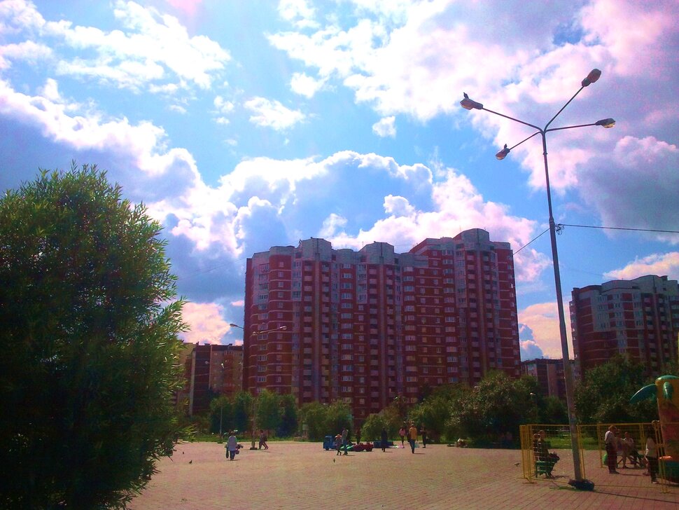 В парке летом