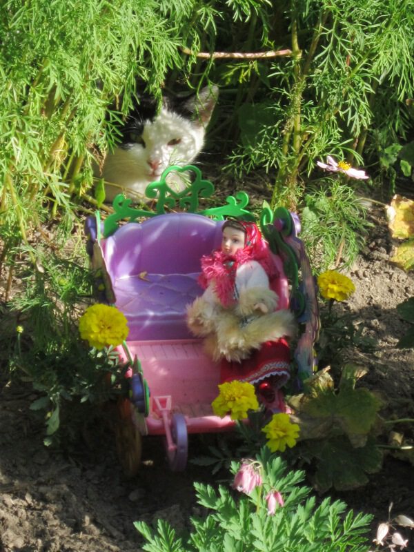 Кукла в санях и кошка в цветах