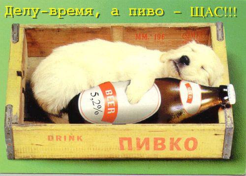 Картинки алкоголиков