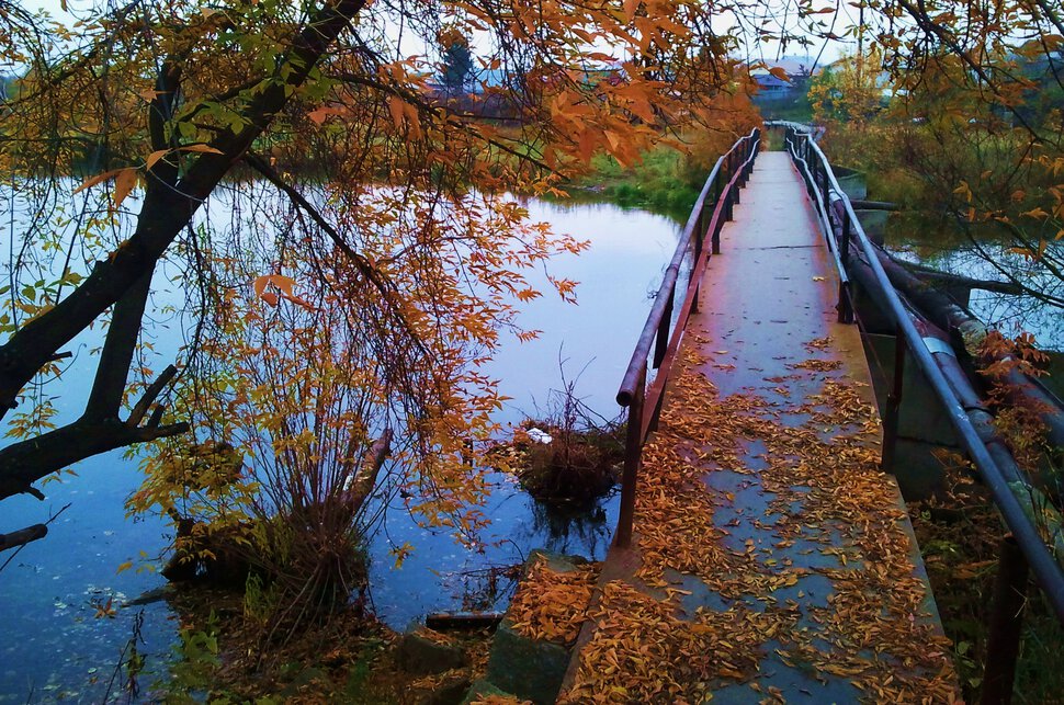 Мостик, осень и река