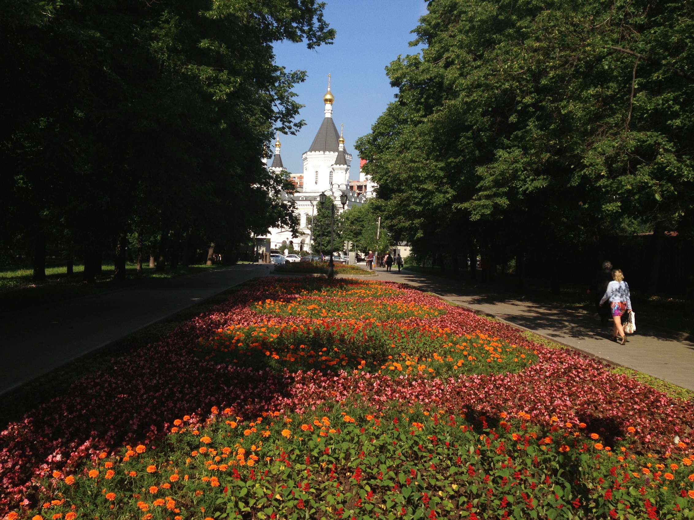 День московских парков картинки