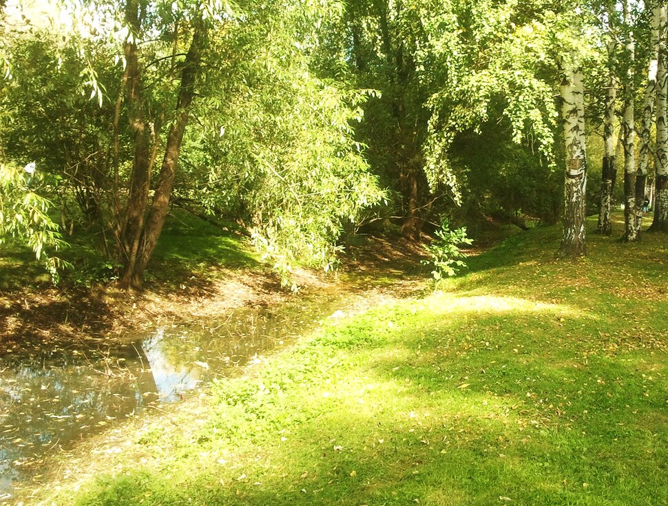 Сентябрь