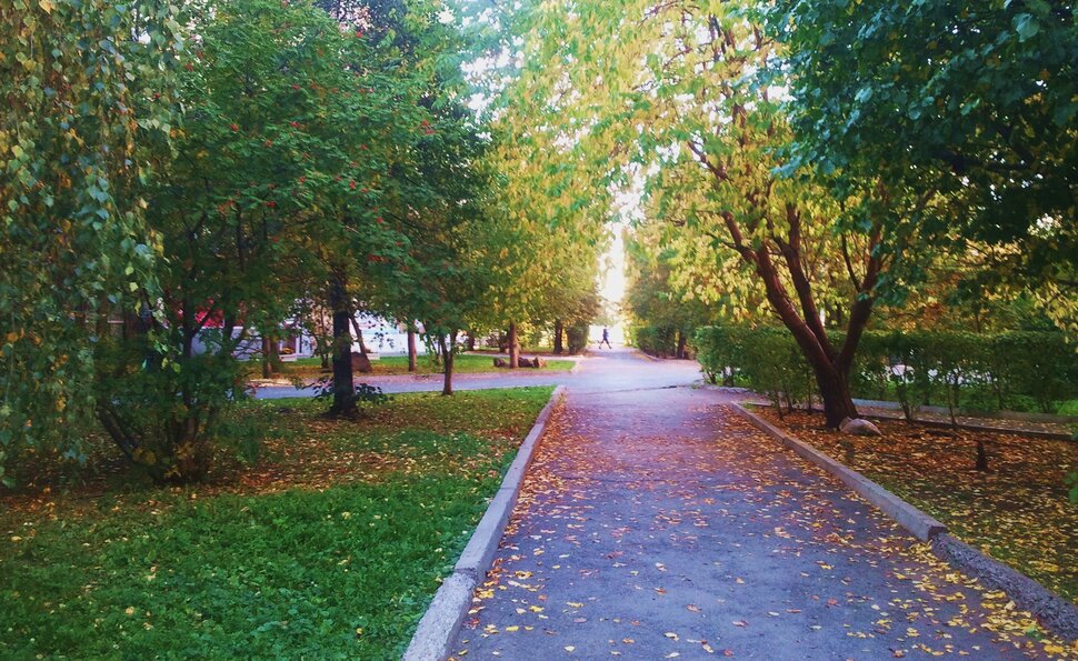 Сентябрь