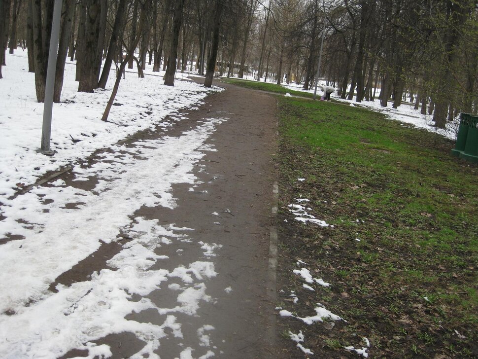 Апрельские дорожки