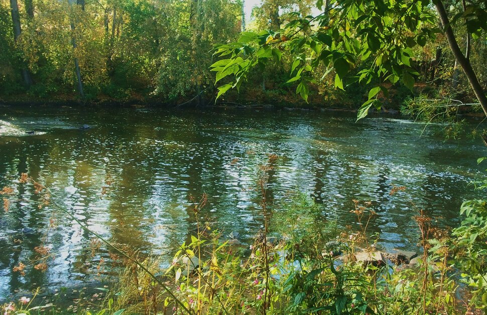 Осенью у реки