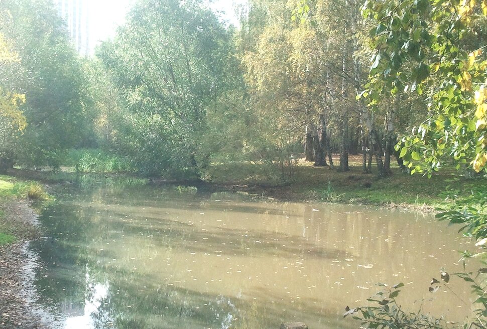 У озерца