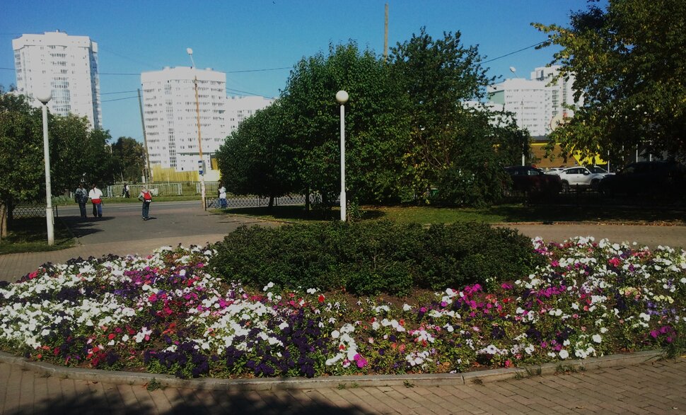 По бульвару