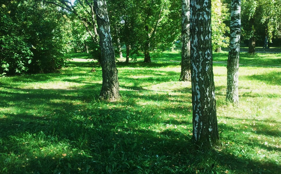 По лесочку