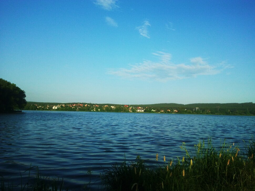 У реки в июне