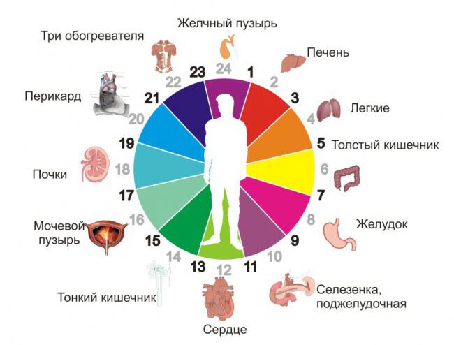 Время приема лекарств