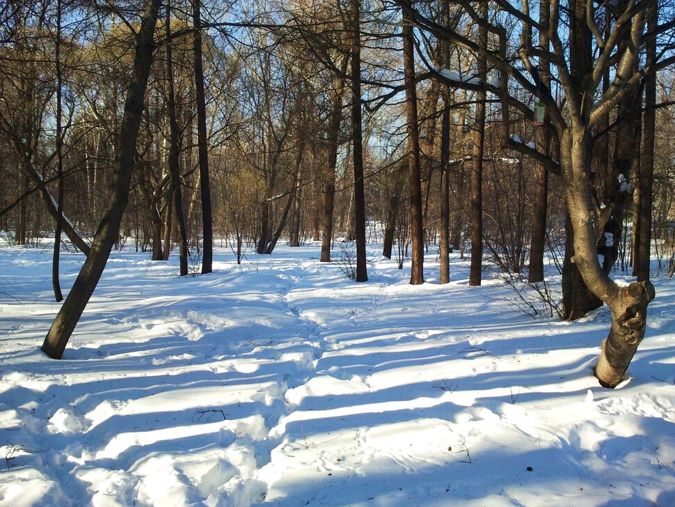 По глубокому снежку