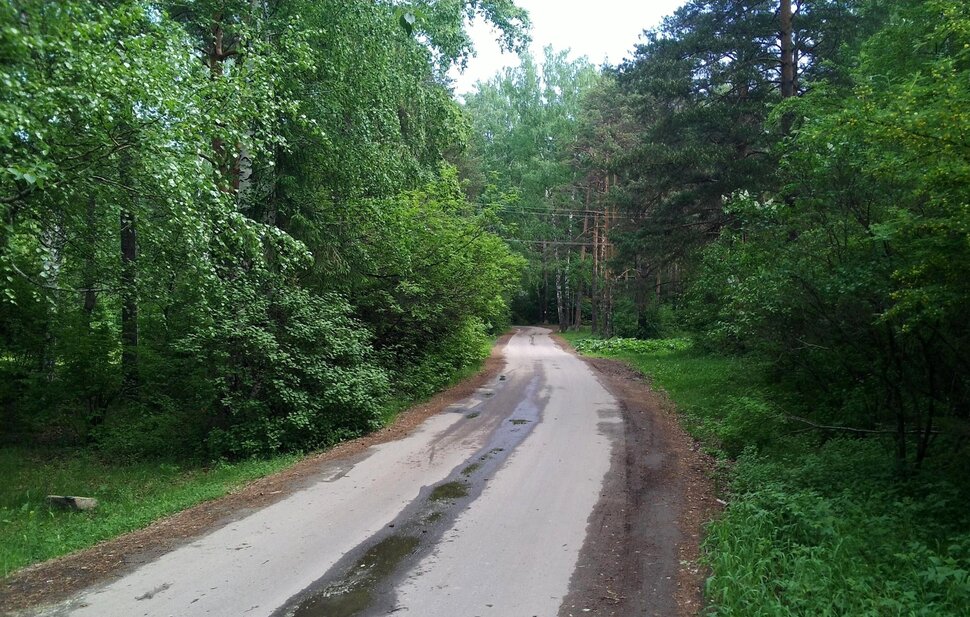 По лесной дороге