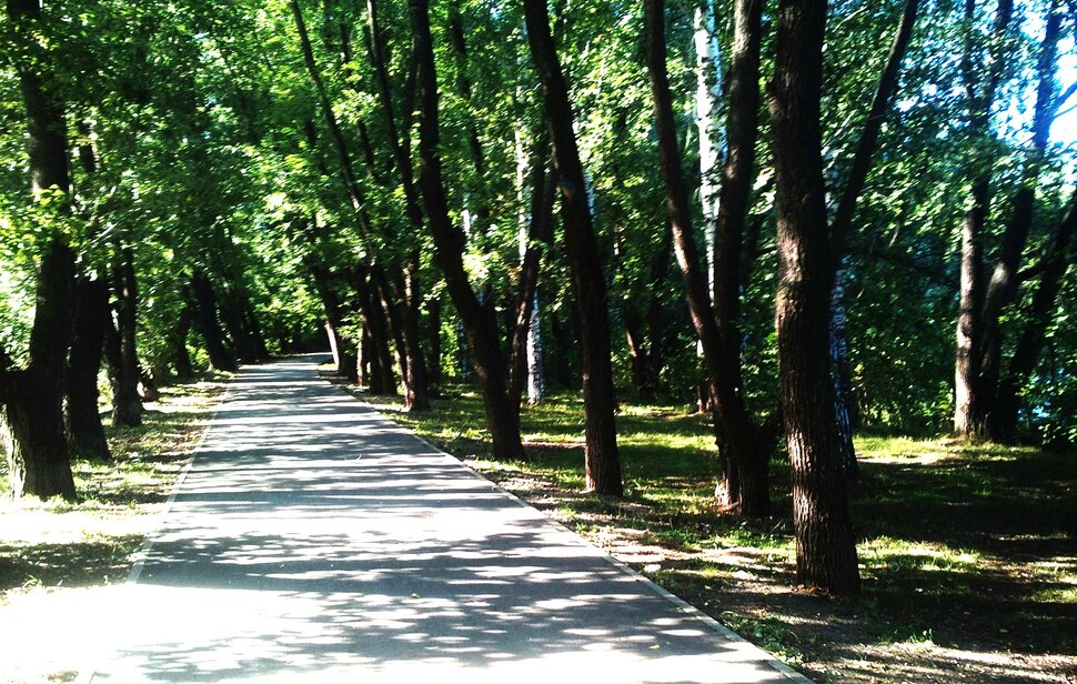 По аллее