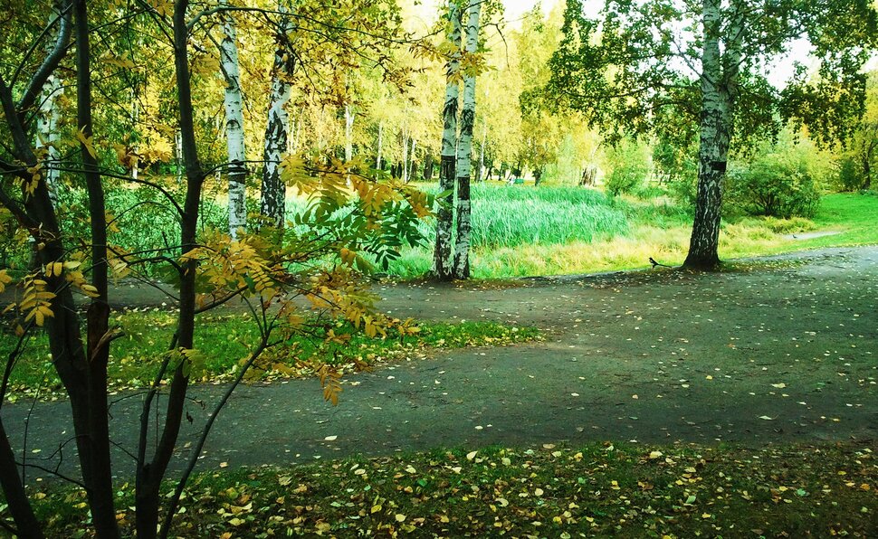 Сентябрь