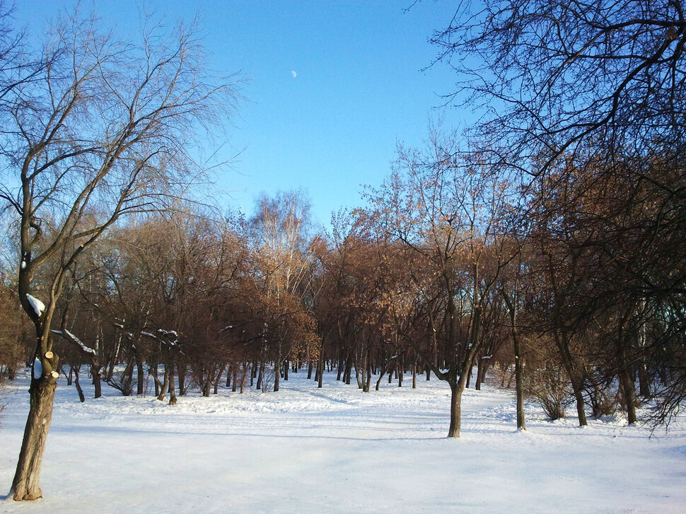 Зимний солнечный день с луной