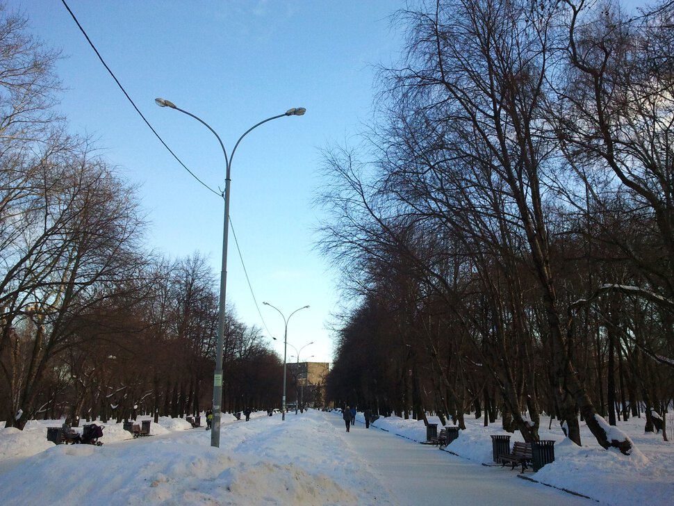 Бульвар теперь под снегом