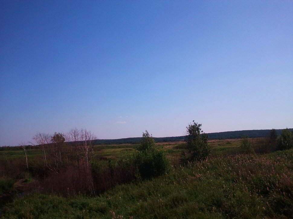 На просторе