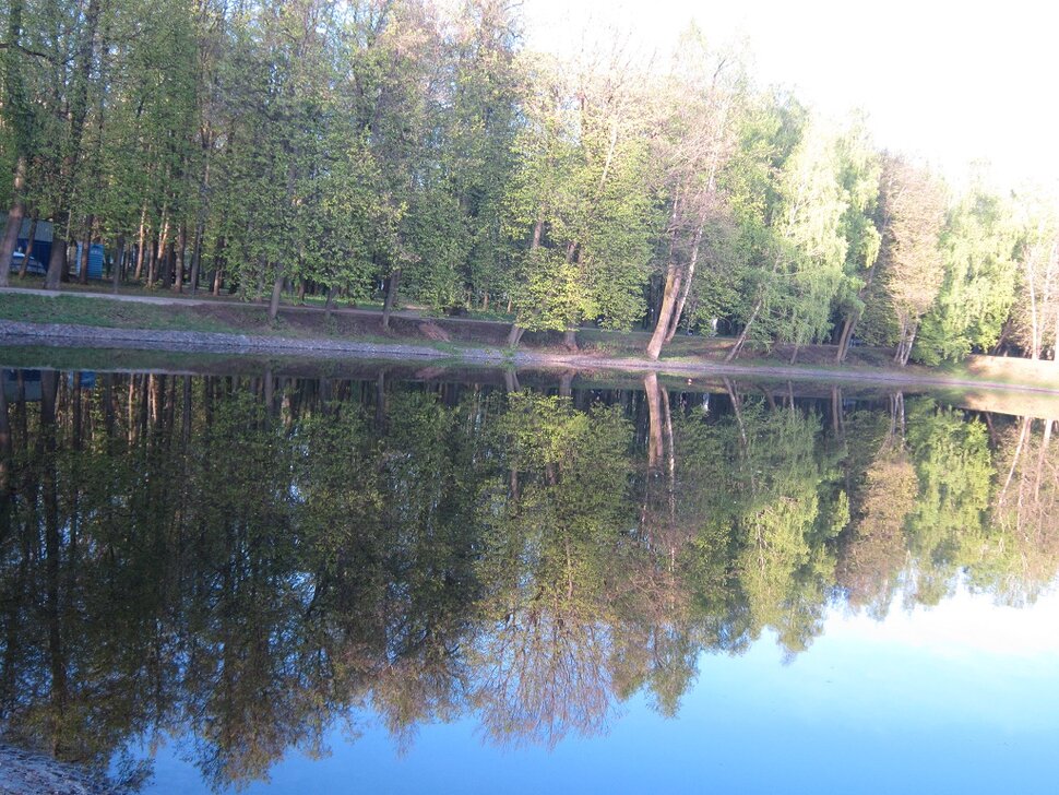 Над водой и в воде