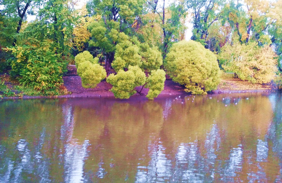 Осень у реки