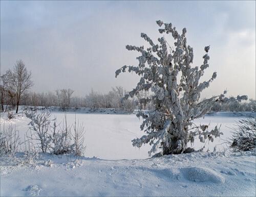 Сибирская зима