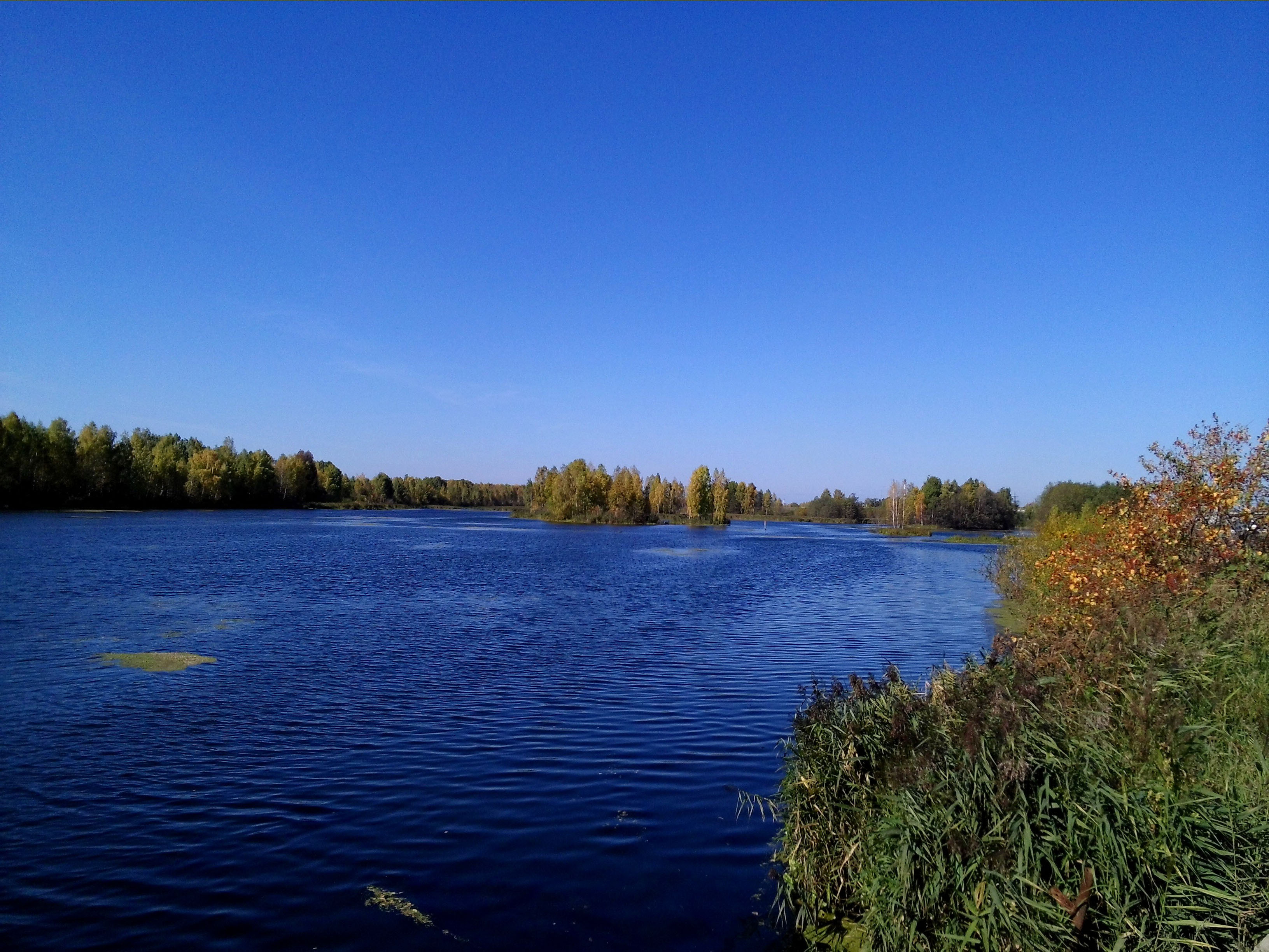 Вижу синюю реку