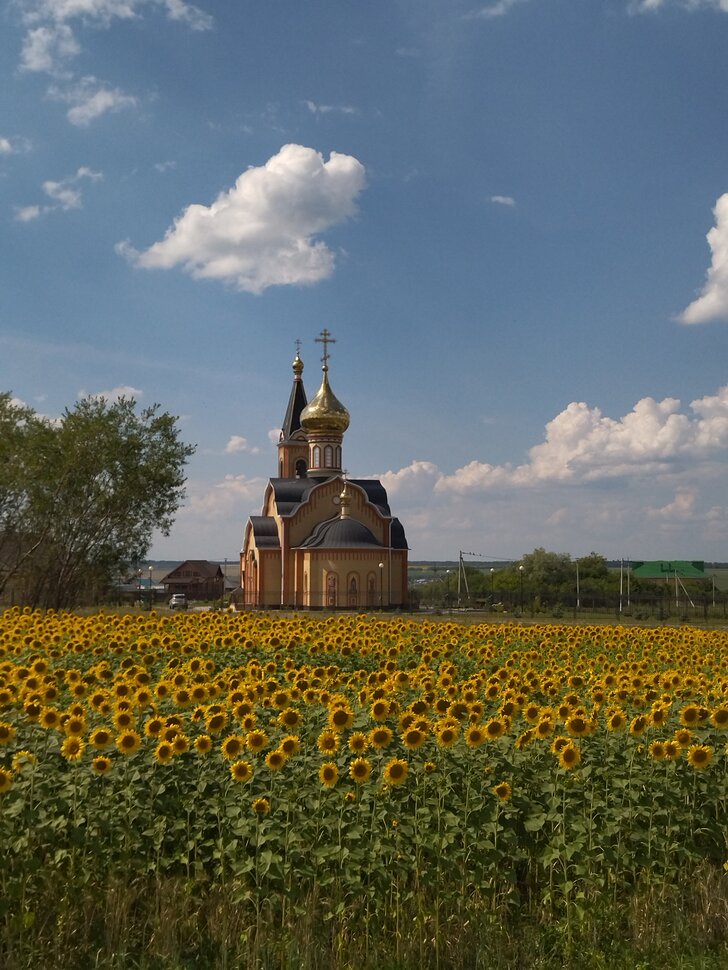 Храм в подсолнухах