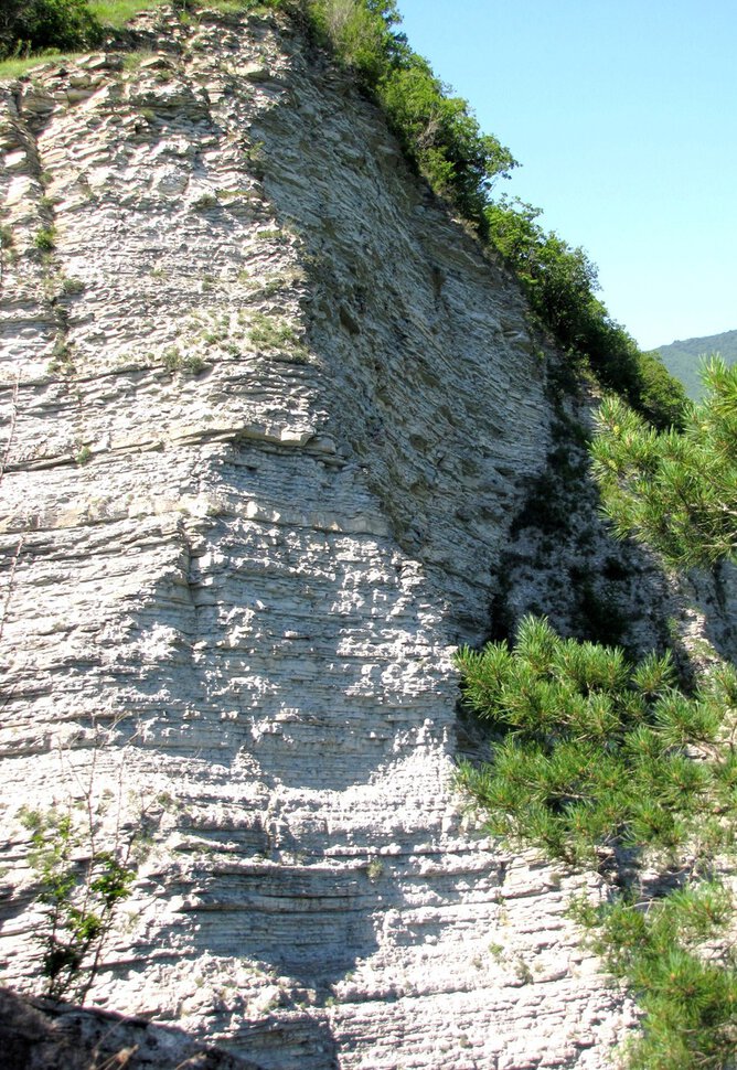 Кавказский сфинкс