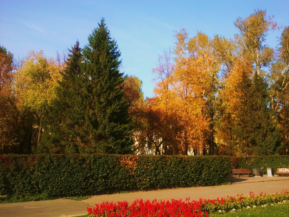 В городе осень