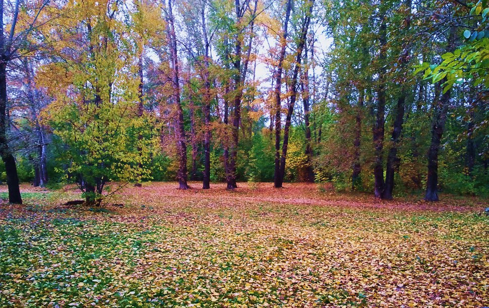 Осень