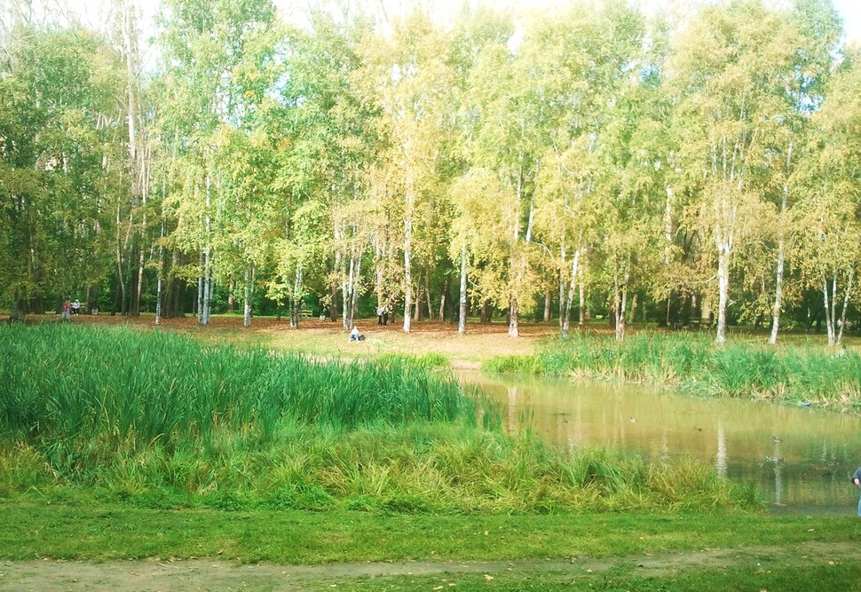 По лесочку