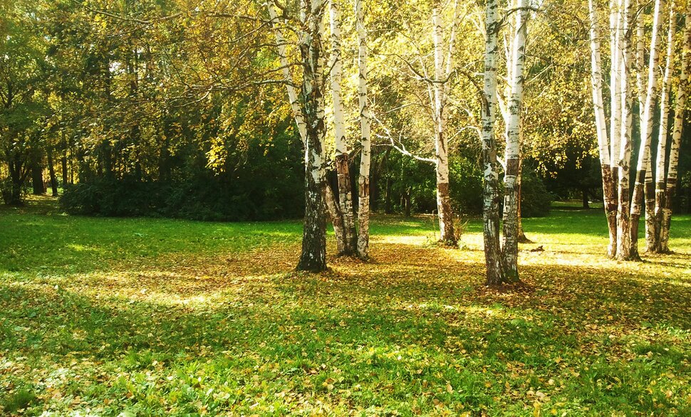 Солнечная осень