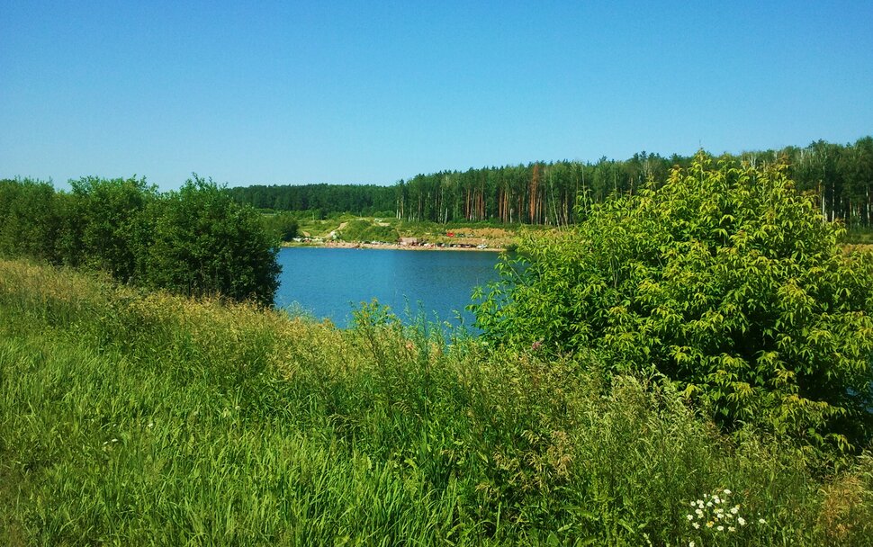 У озера