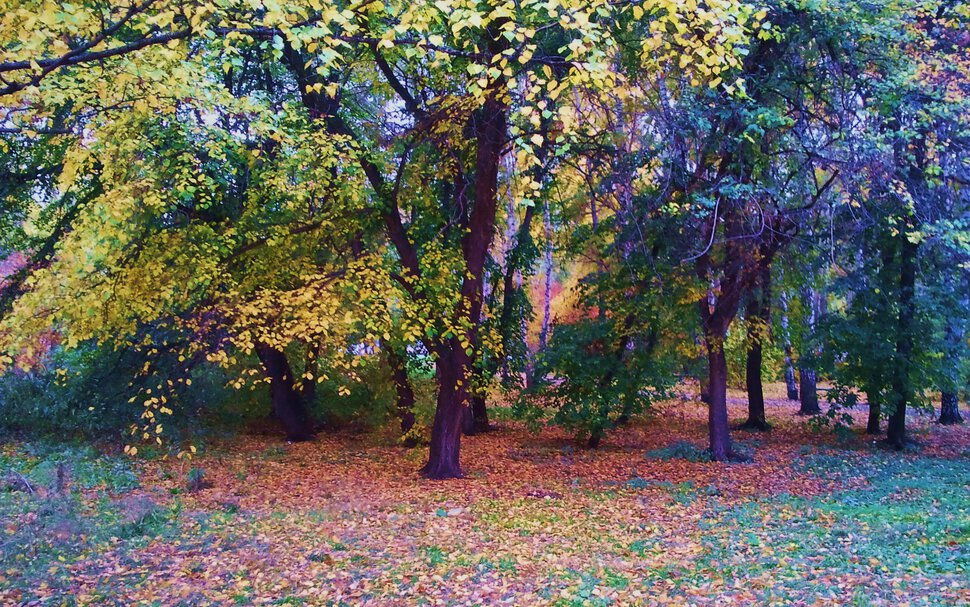 В осеннем сумраке
