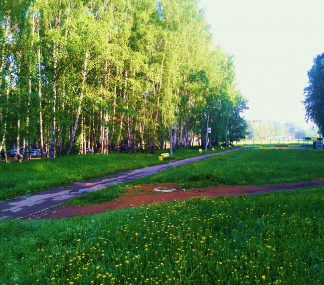 В заводском парке