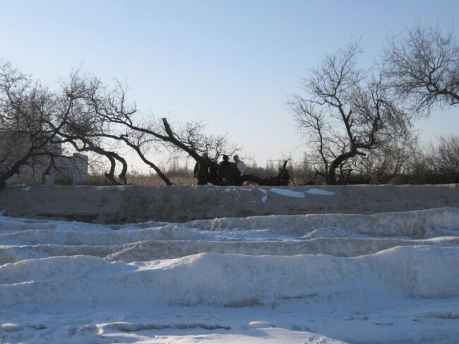 замерзшие волны