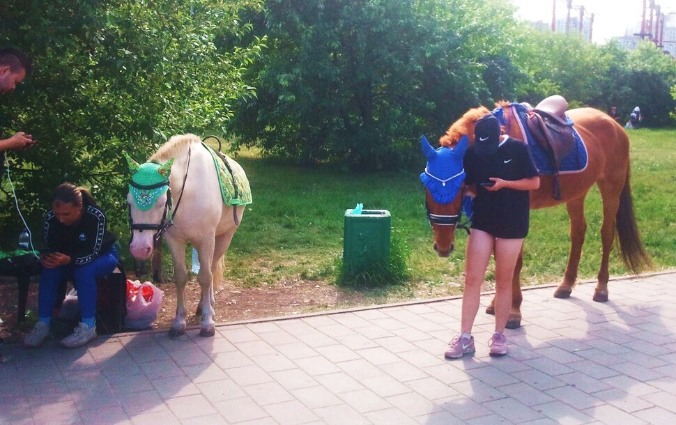 В парке летом