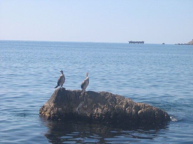 Море