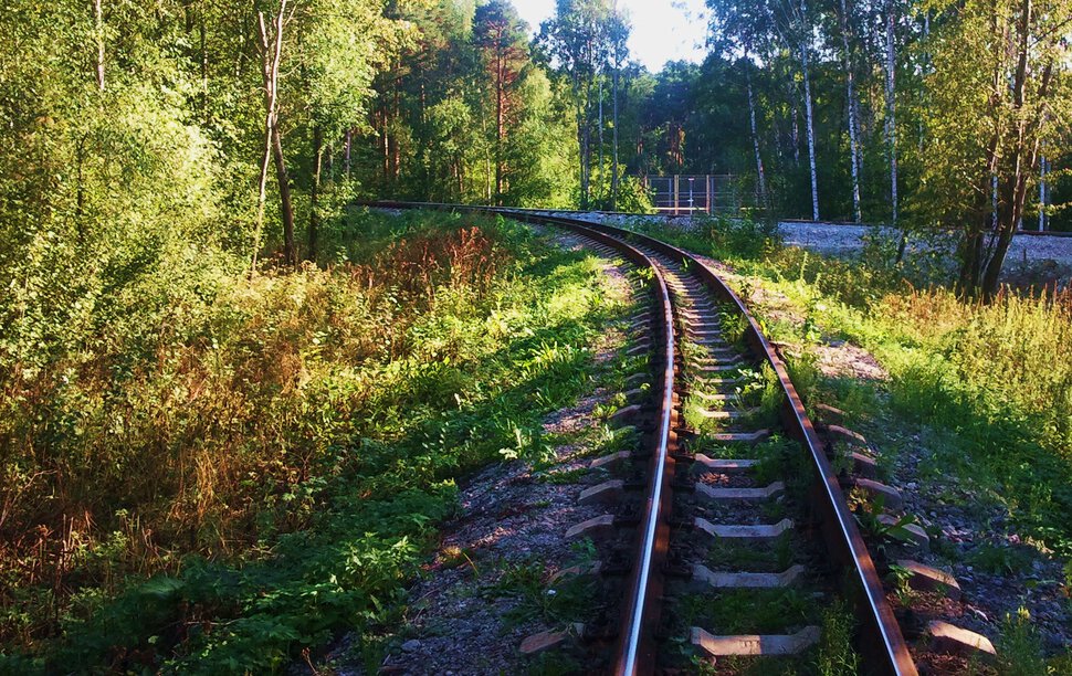 В лес по узкоколейке