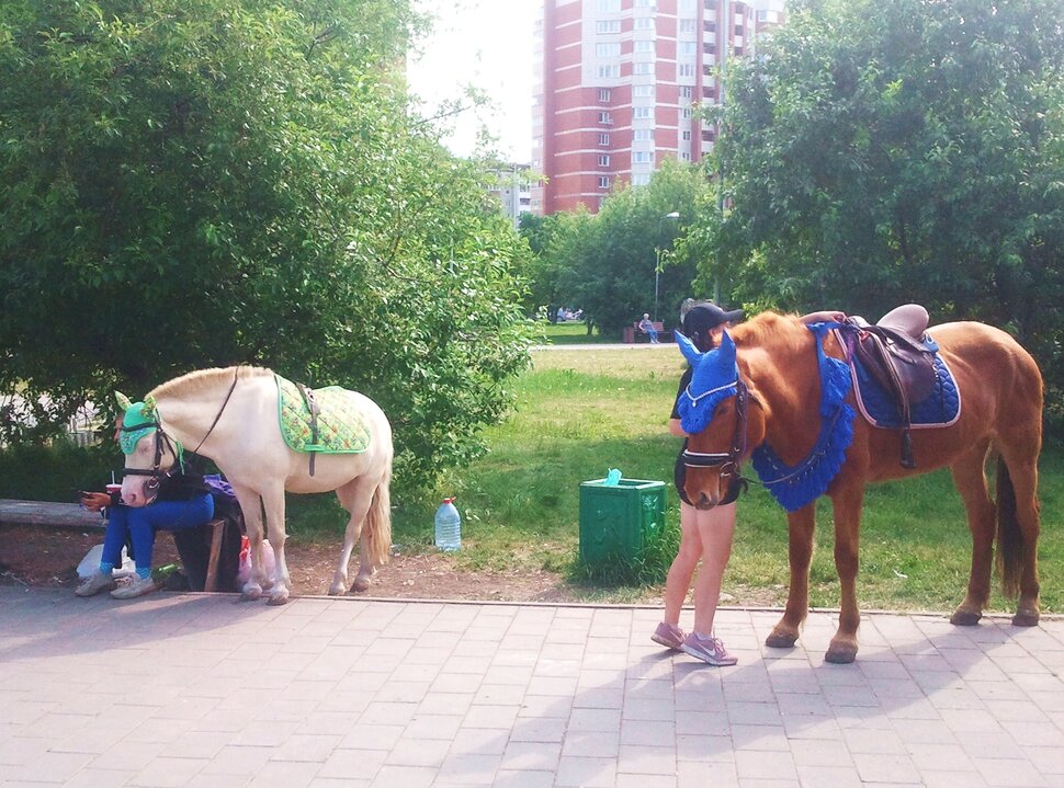 В парке летом