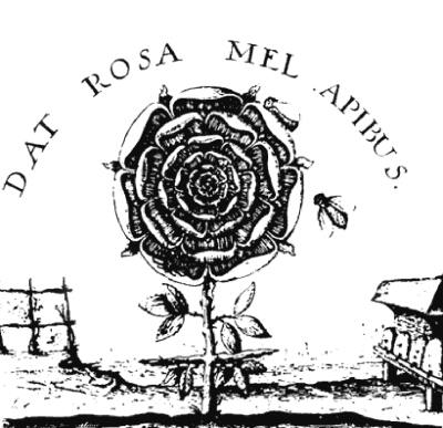 Cимвол Розенкрейцеров: Раскрытая Роза и Крест
