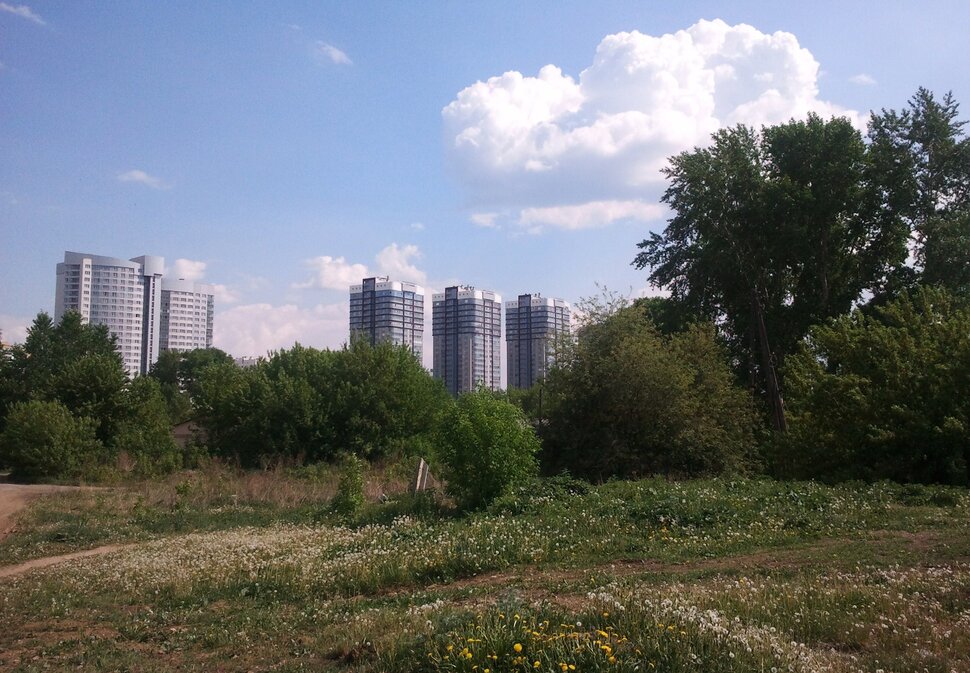 На майской поляне