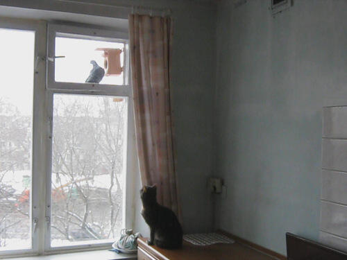 Окно