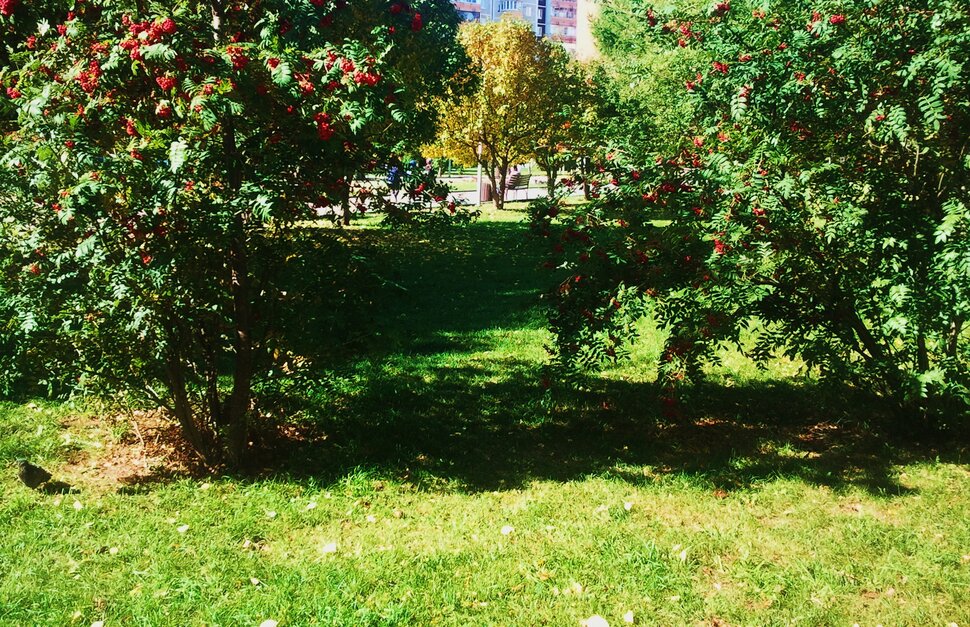 Сентябрь