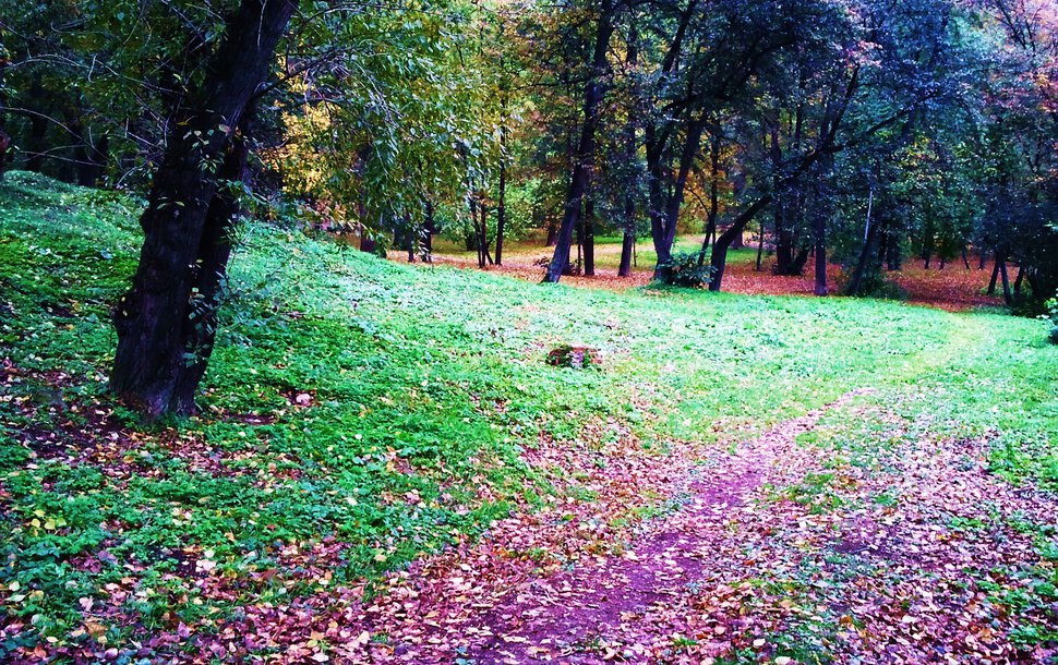 В Харитоновском парке