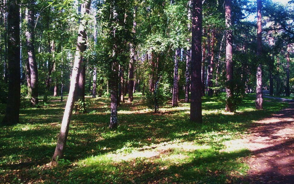 По лесочку