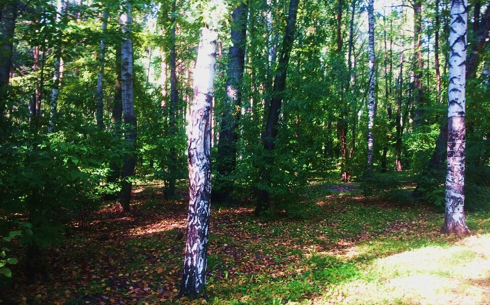 Сентябрь