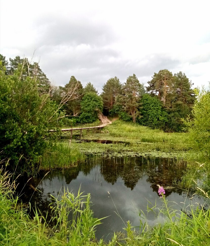 Старый деревенский пруд